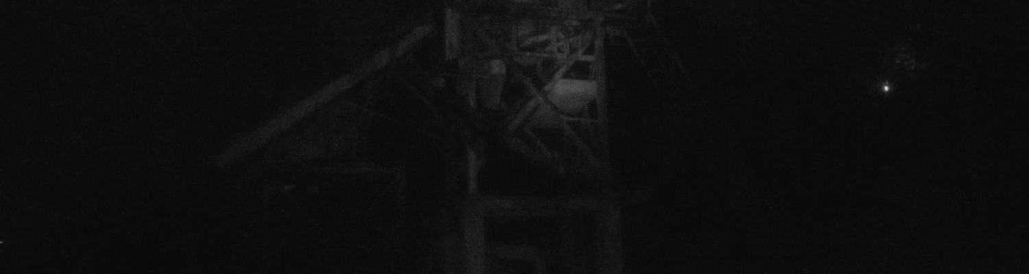 Futuros luminosos 6_1.4.2